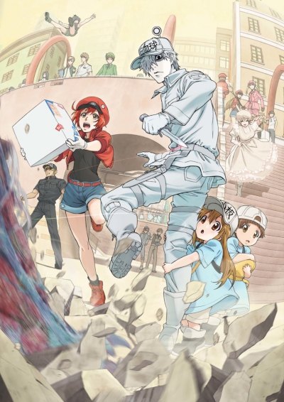    / Hataraku Saibou (TV)