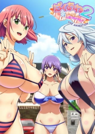   2:   ! / Baku Ane 2: Otouto Ippai Shibocchau zo! The Animation